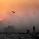 Landfill in India